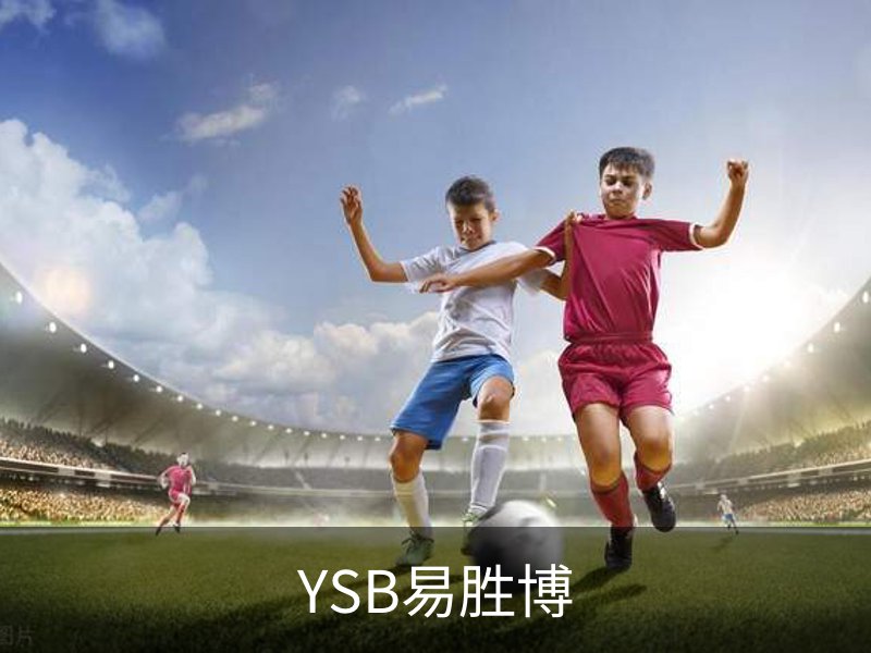 YSB易胜博·(中国)官方网站